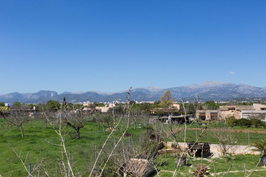 Finca Can Diego - foto 34