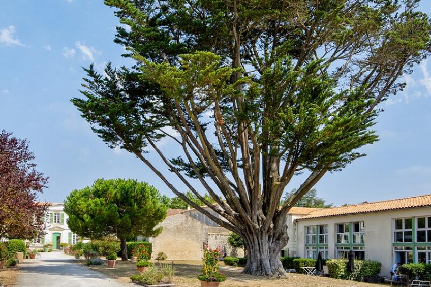 Le Palais des Gouverneurs S2p - foto 34