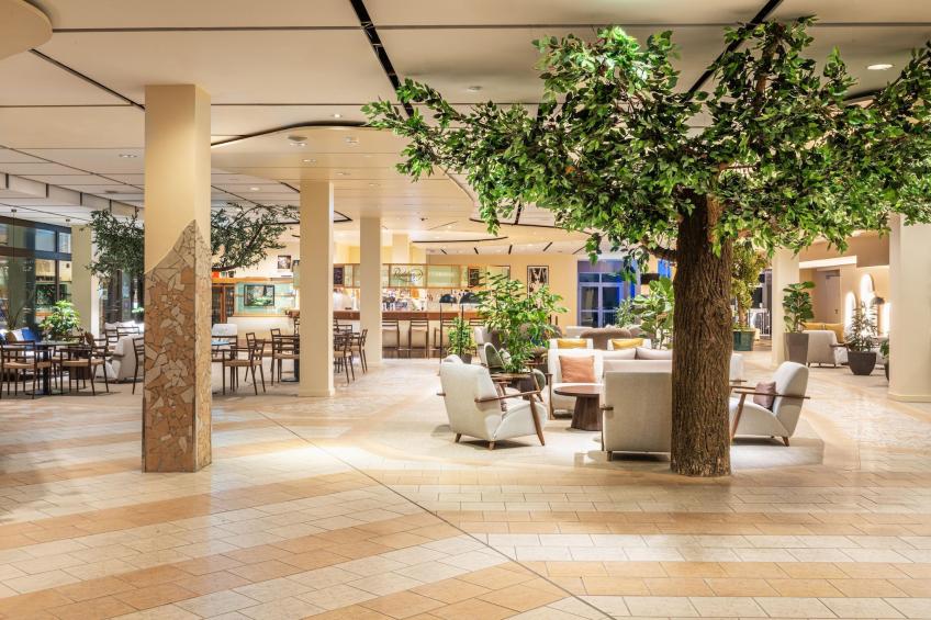 IFA Schöneck Ferienpark - 2 Raum App / AP2 ohne Balkon - foto 26