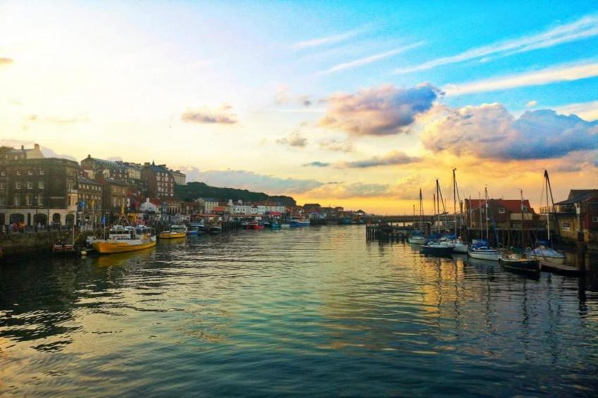 Oystercatcher - foto 30