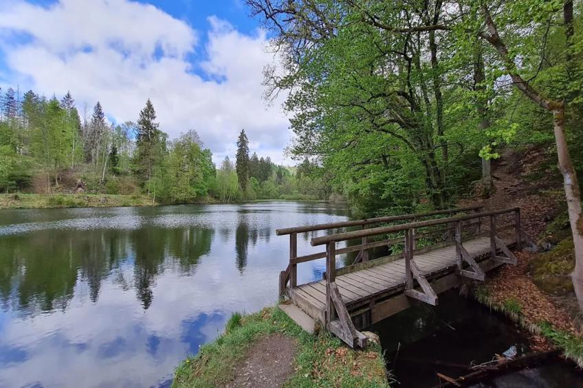 Vakantiehuis, Wieda - foto 39