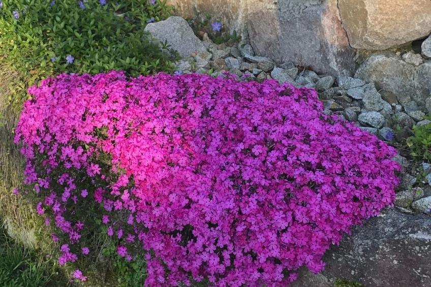 Haus Alpenblick - foto 12