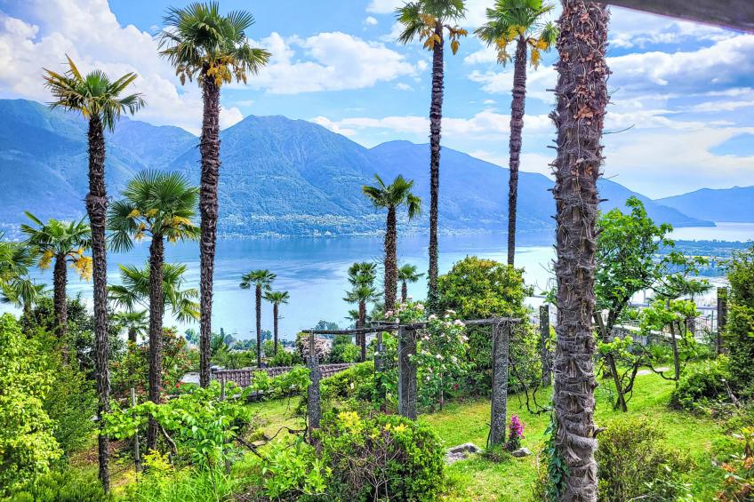 Vernice Gialla - foto 30