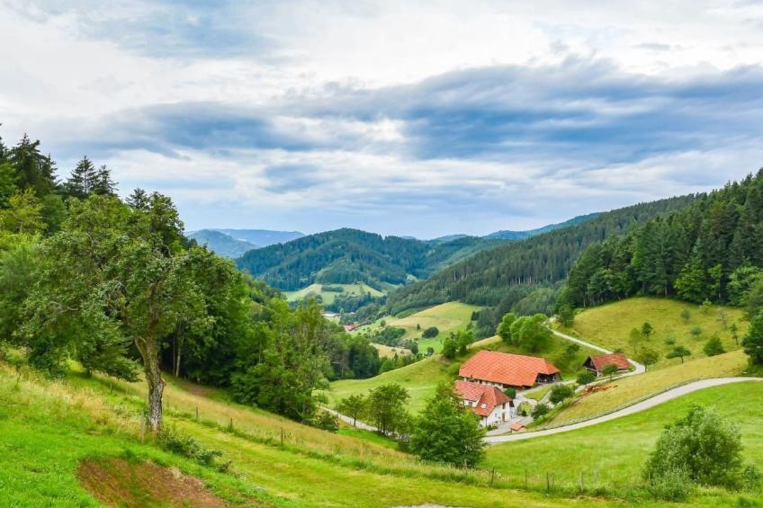 FeWo mit Whirlpool und Fass-Sauna im Schwarzwald - foto 27
