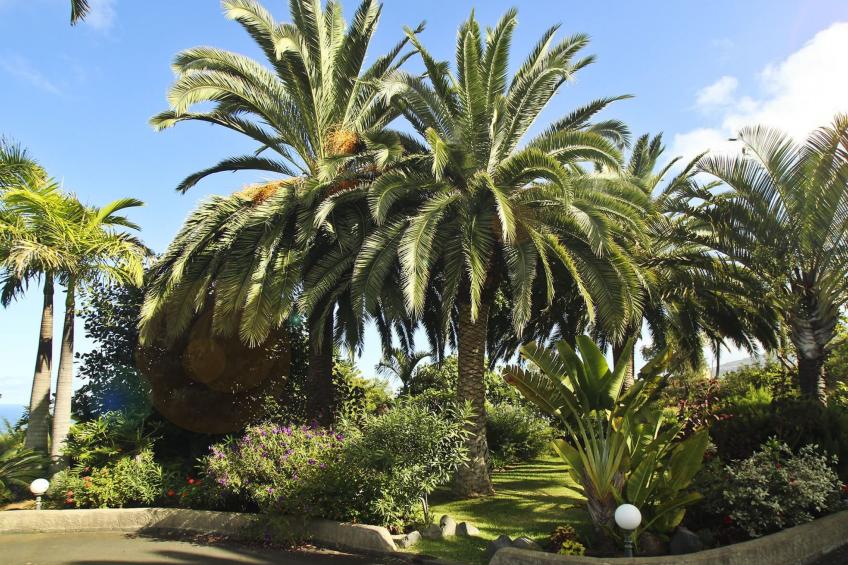 Finca Tocama - foto 18