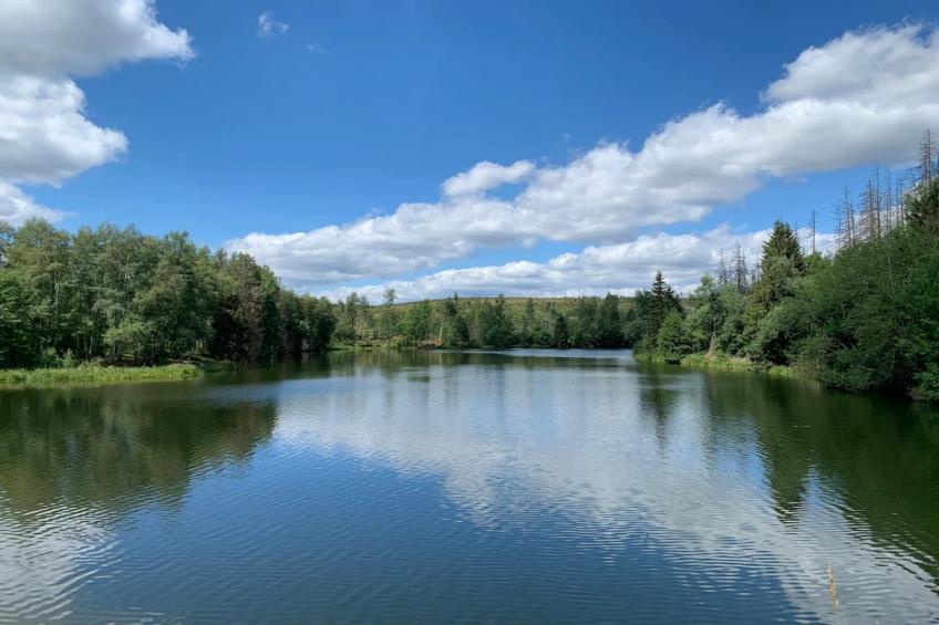 Ferienhaus in Hasselfelde - Haus 59 Blauvogel - foto 38