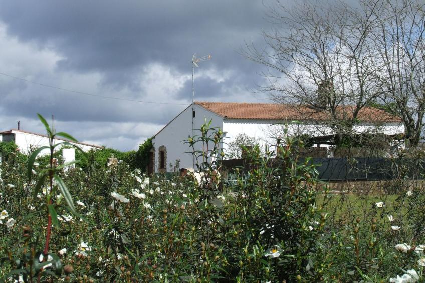 Finca "El Chorrillo" mit gemeinschaftlichem Pool - foto 24