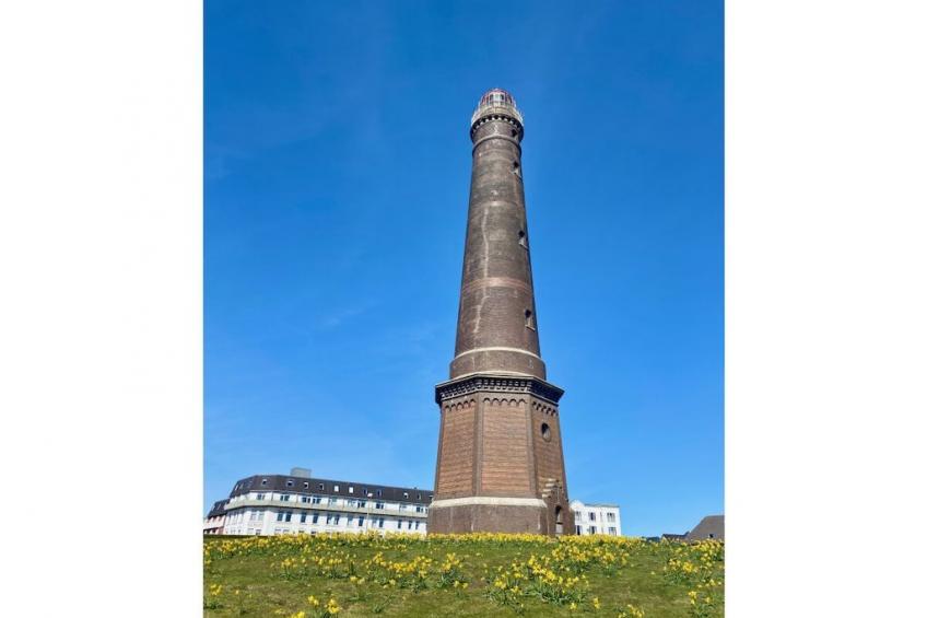 393474 - foto 29
