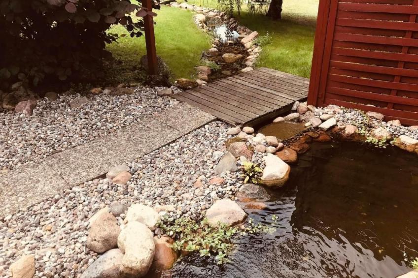 Elbe-Ilenpool -In Ruhe entspannen - foto 16