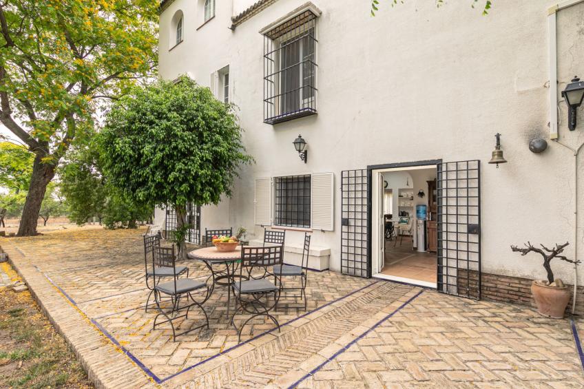 Las Codornices - foto 45