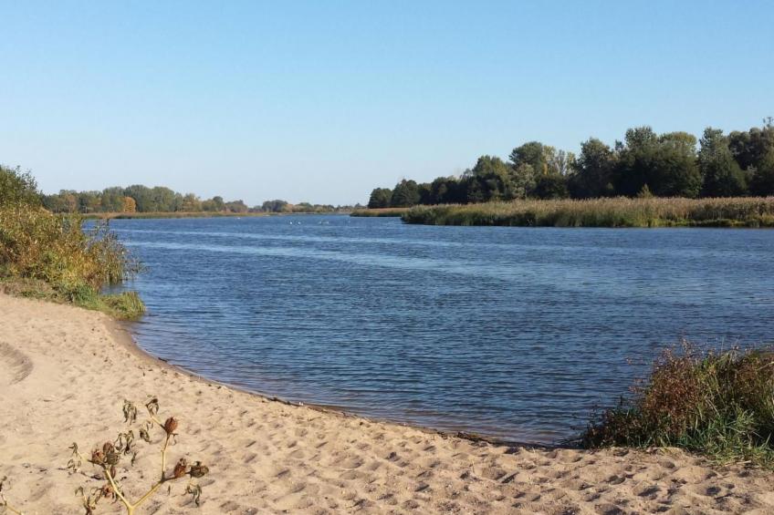 Magnolienhaus mit Sauna und Jacuzzi - foto 18