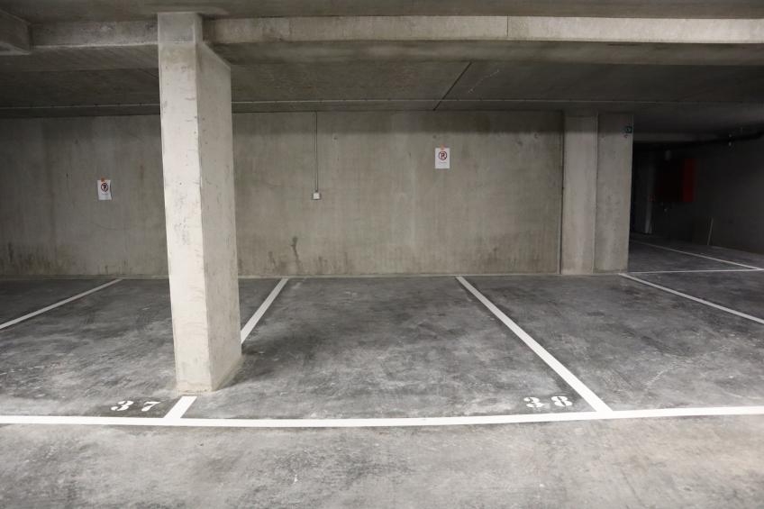 THE GREEN 0001PK - foto 21