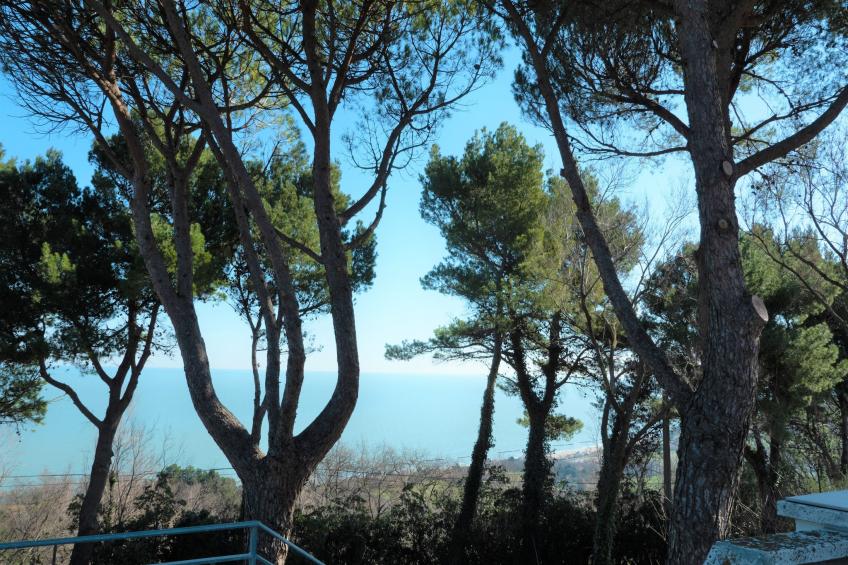 Brezza dal Mare - foto 40