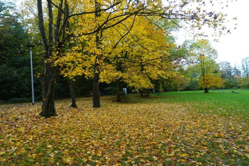 Luxus-Familienappartement / 3 Personen - foto 27