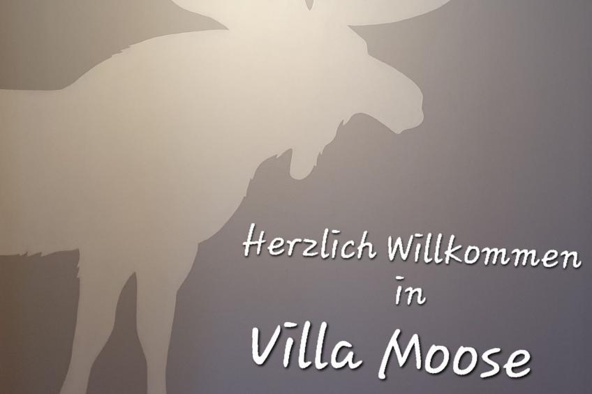Villa Moose - foto 3
