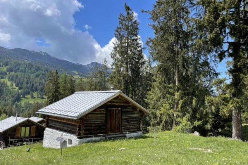 Alphütte-Maiensäss Got Spess Lenzerheide - foto 18
