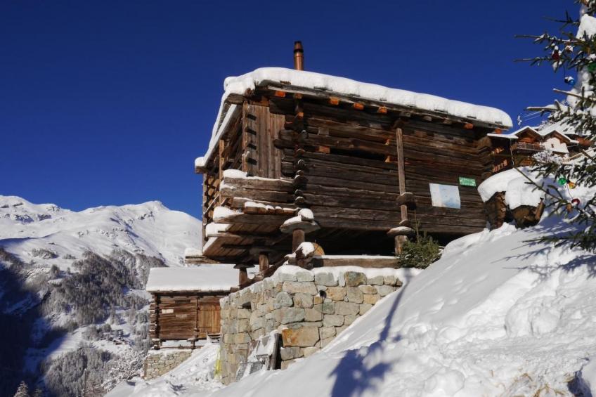 Mayen an Henri - foto 14