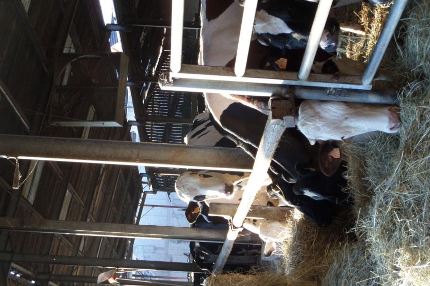 Gite Ferme Baltzinger - foto 14