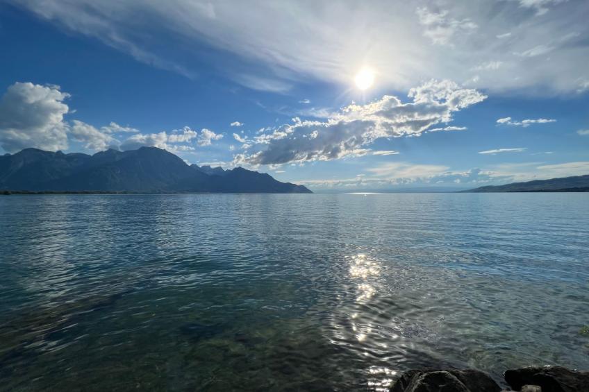 Les Narcisses,Blonay - foto 23