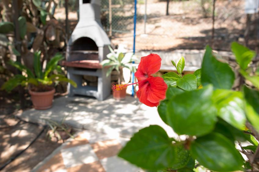 San Marco' Wohnung mit Blick aufs Wasser - foto 27