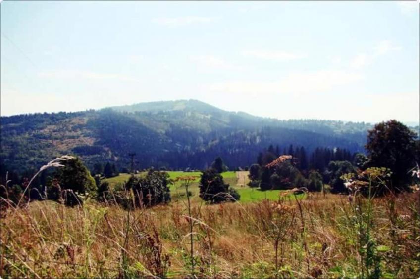 Luksusowa Willa w górach 200 m od wyciągu - foto 24