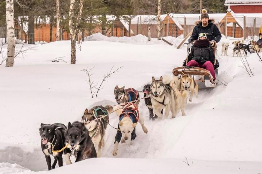 Villa Majringen - foto 34