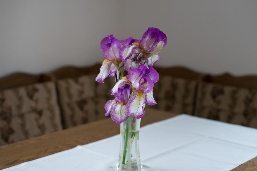 Appartement in Zasip mit Möblierter Terrasse - foto 29