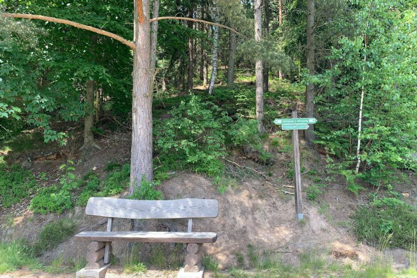 Waldferienhaus Dunja mit Sauna, Whirlpool, direkt am Waldrand, Kletterfelsen - foto 14