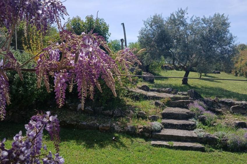 Provenzalisches Ferienhaus mit Charme auf dem Land mit Pool - foto 24