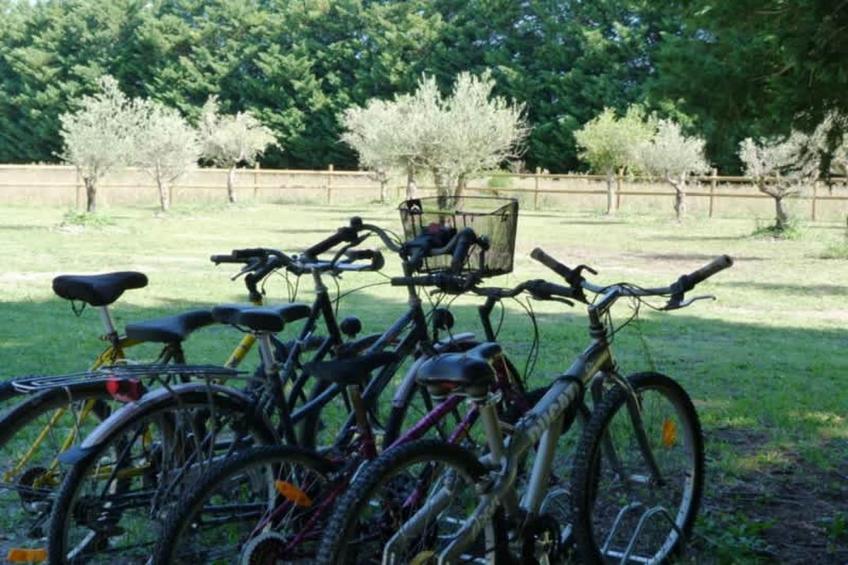 Villa provencale pour les amoureux de la nature en Lubéron - foto 39