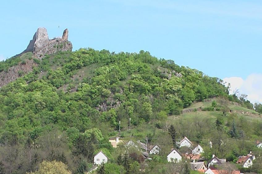 225296 - foto 29