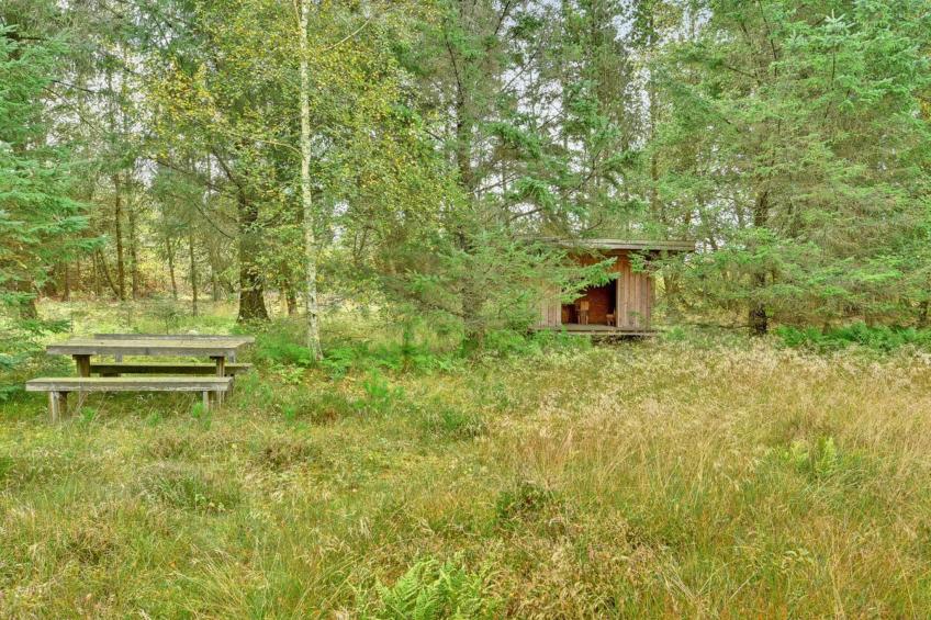 "Editt" - 2km from the sea in NW Jutland - foto 23