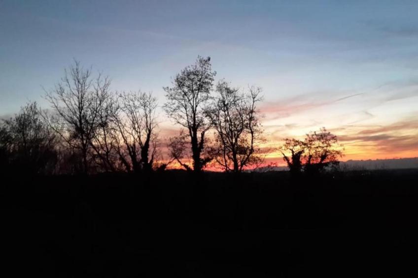 Ferienwohnung Am Marktplatz - foto 23