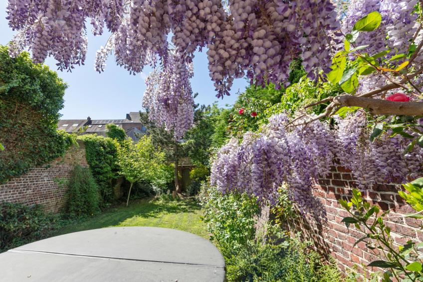 La Maison Bleue Ronse - foto 45