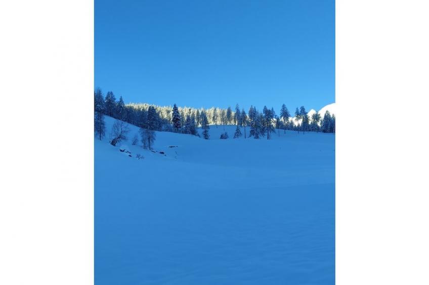 279659 - foto 11