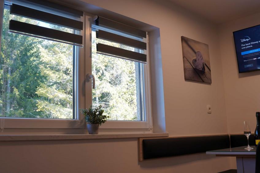 Cozy and Chic Apartment in Kranjska Gora - Studio Apartment - foto 20