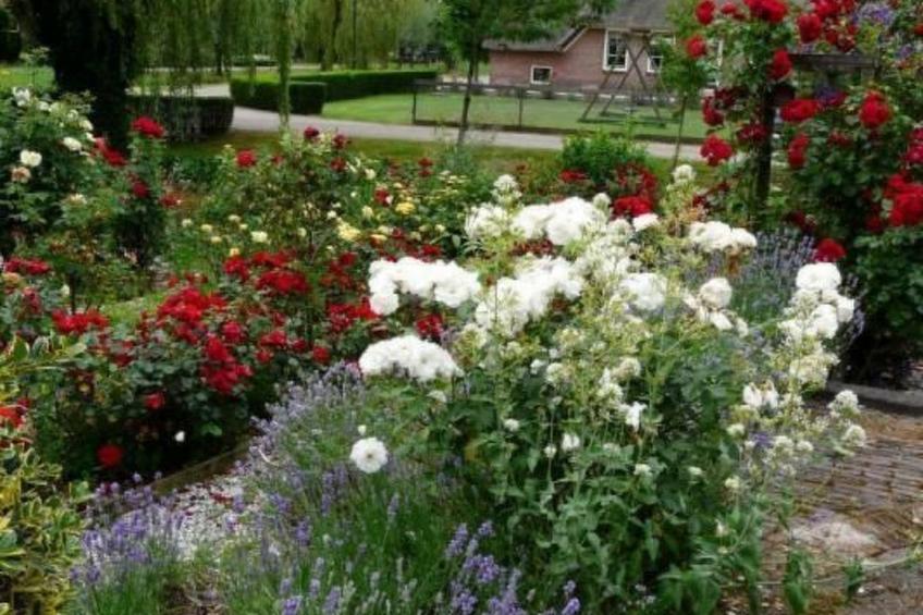 Wohnung auf dem Bauernhof - foto 24