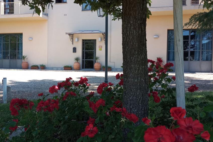 Flache Linde - foto 16