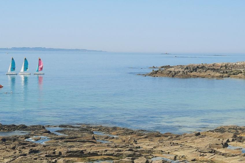 Die Ruhe des Landes am Meer in einer Region mit Gemüseanbau - foto 56
