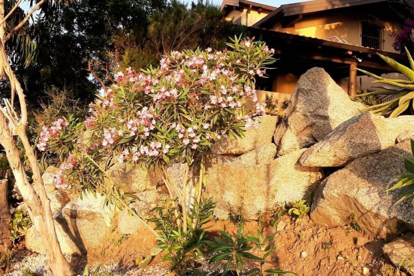 Villa Panorama Wohnung in privater Villa - foto 14