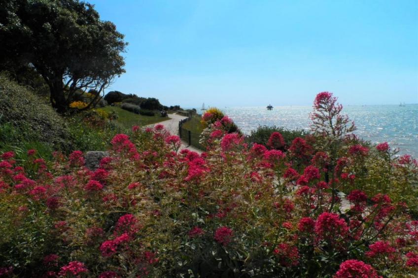 Appart'hôtel Archipel - foto 35