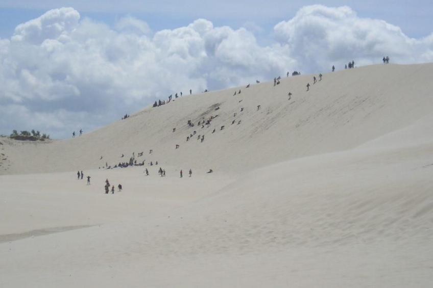 Appartement in Żarnowska mit Großem Garten - foto 9