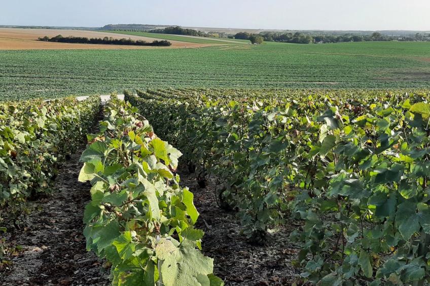 Fachwerkhaus "Charme - foto 24