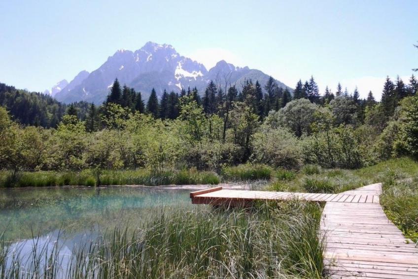 mit Balkon - foto 36