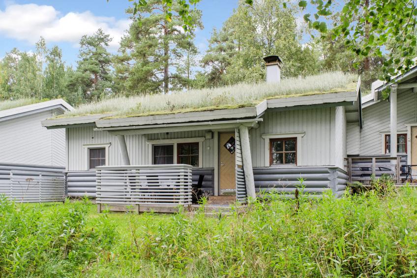 Kulta-käkönen 10 by bomba - foto 17