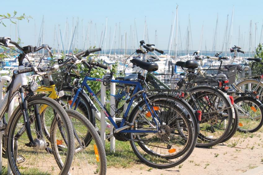 Im Grünen - foto 13