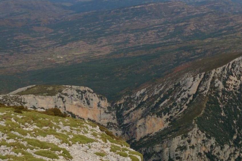 Javier Haus - foto 25