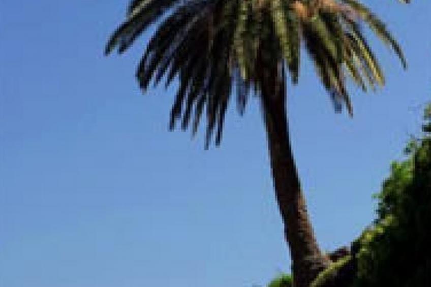 Casa Rural El Serrillal 1 Hermigua La Gomera - foto 21