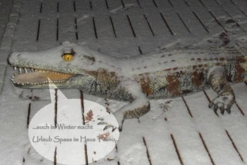 in Kuhklingen mit Großer Terrasse - foto 7