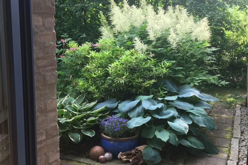 Landlust, Stadtnah -  Fewo im ehemaligem Bauernhaus mit Sauna, Kaminofen und gr - foto 10